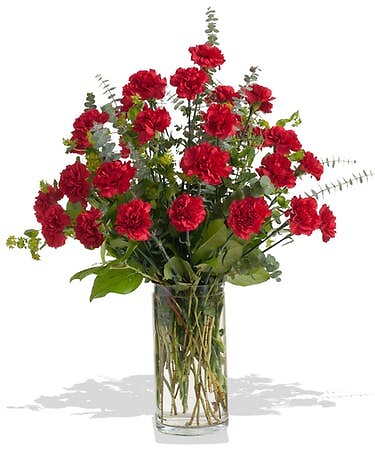 Classic Carnation Vase Arrangement