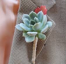 Succulent Boutonniere