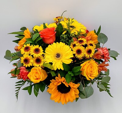 Sunshine Splendor
