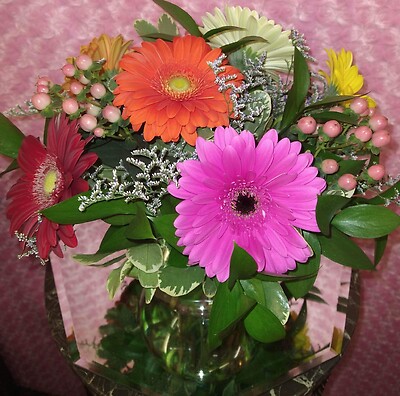 Mixed colored Gerbers Arrangement