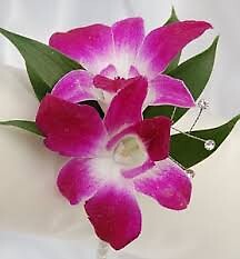 Orchid Boutonniere