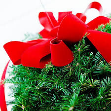 Balsam Fir Kissing Ball, just ribbons