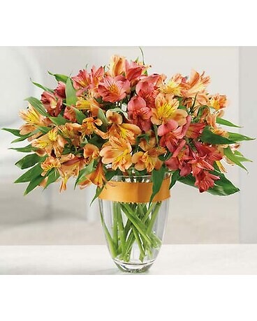 Awesome Alstroemeria