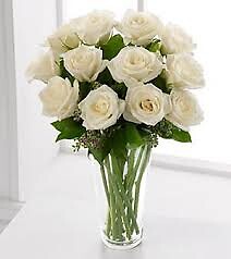 Dozen white roses arranged in a vase