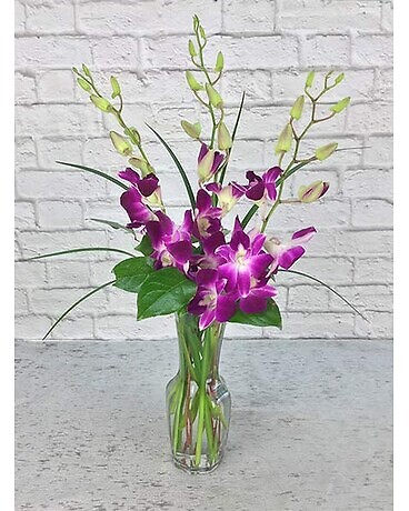 Dendrobium Orchid Bud Vase