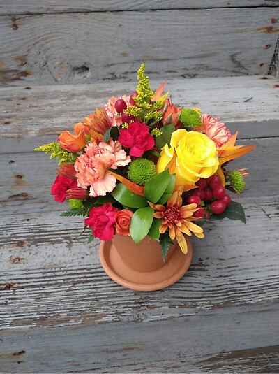 Terra Cotta Flower Pot