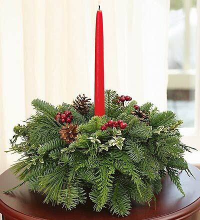 KMD limited evergreen holiday special